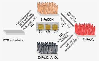 Our Latest Result On Photoelectrochemical Water Oxidation - Diagram