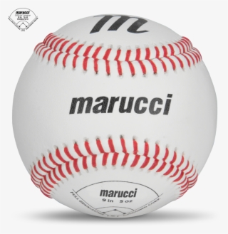 Mobblp9-12 - Ted Williams Hof Inscribed Baseball