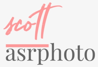 Hampshire Wedding Photographer Asrphoto Southampton - Food In World War 1