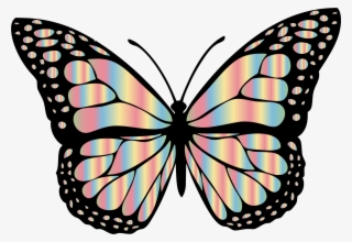 Jpg Library Stock Svg Frames Illustrations Hd Images - Butterfly Drawing With Colour