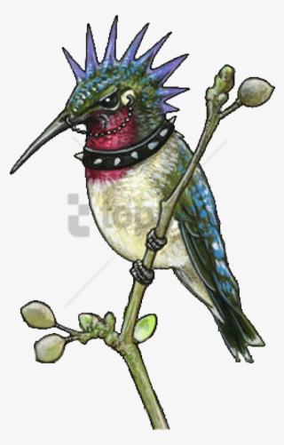 Free Png Sleeve Tattoo Png Image With Transparent Background - Hummingbird Tattoo Designs