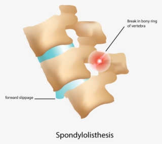 Zeeshan Sardar, Md - Pet An Animal