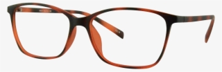 Demi Amber Glasses Frame - Dior Montaigne 31 Glasses
