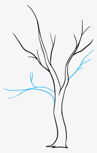 How To Draw Fall Tree - Drawings Of Trees Falling