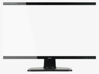 Computer Monitor
