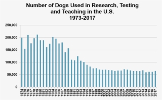 Are Estimated To Be Used In Pharmaceutical Testing, - Use Of Dogs And Cats In Biomedical Research