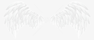 Free Png White Wings Png Images Transparent - White Wings Png