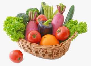 Vegetable, Pitaya, Business, Vegetarian Food, Vegan