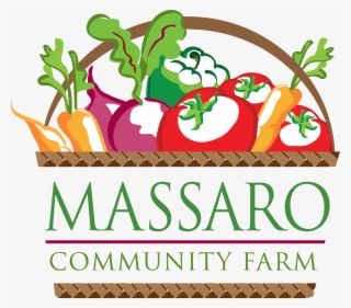 Vegetable Basket Logo By Floy Rodriguez - Massaro Community Farm