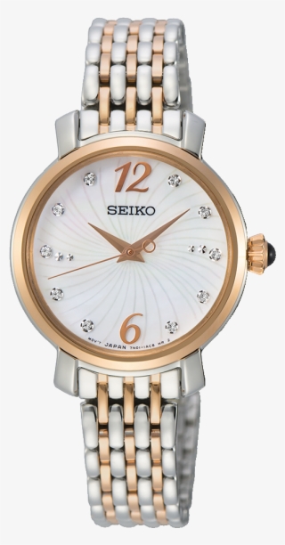 Montre Michael Kors Femme 2014