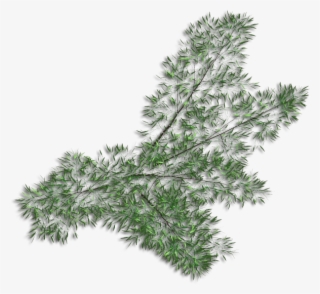 Bamboospread - Grass