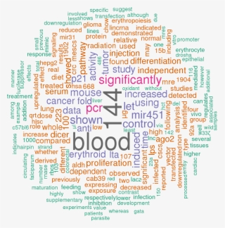 Sort By - Trump Tweets Word Cloud