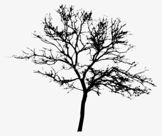 Free Png Tree Silhouette Png Images Transparent - Tree Silhouette Transparent Background