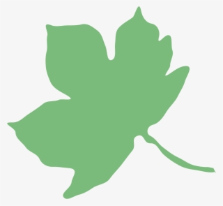 Forest School Handbook