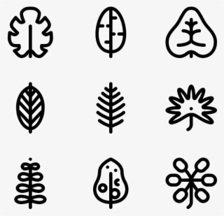 Tropical Leaves - Monochrome