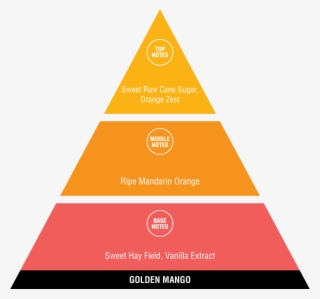 Disaster Management Act 2005