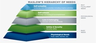 They Do Want To Know What Happened And Whether The - Christmas Tree