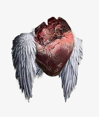 Flying Heart Png Heartless Editing Png - Heartless Editing Png