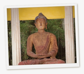 The Story Behind The 900 Year Old Buddha Statue At - Buddha Jungle Gardens