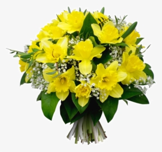 Tube Bouquet De Jonquilles - Jonquille