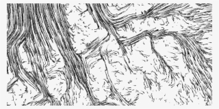 Jeremy Adjusted His Animation Code From The Vr Films - Line Art