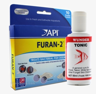 Fish Medicine Api