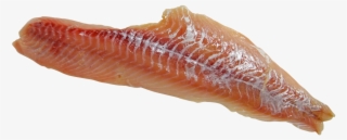 Pictures - Alaska Pollock