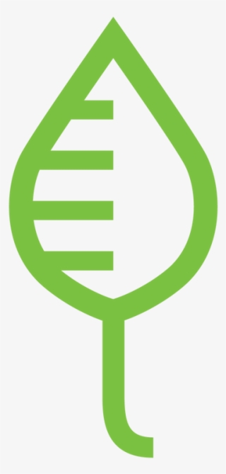 Leaf 31kb