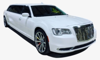 Springfield Coach 300 White Resized