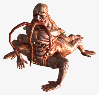 Doesnt This Baby Look Like A Centure - Fallout 4 Transparent Ghoul