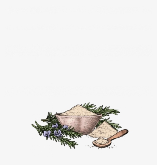 Rosemary Sea Salt - Sitka Spruce