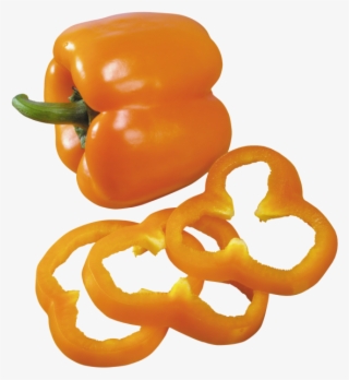 Pepper Slices - Habanero Chili