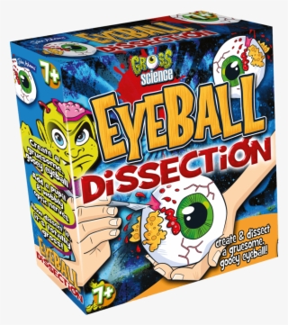 Eyeball Dissectiont Box Left - Eyeball Dissection Gross Science