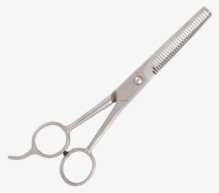 Small - Scissors
