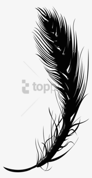 Free Png Black Feather Pen Png Image With Transparent - Black Transparent Feather Png