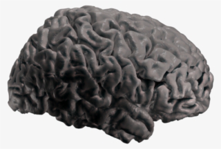 I Am Excited This Morning, Because I Have Finally Begun - Illustration