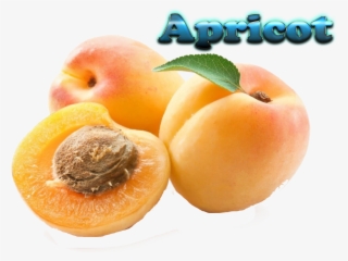 Frutas De Una Semilla