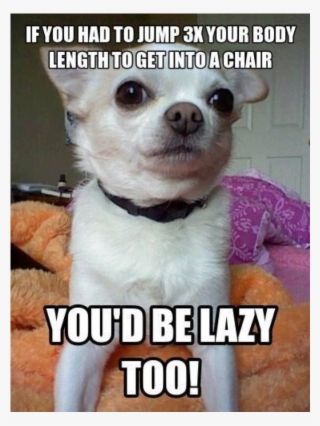 Clean Memes 03 29 2019 Morning - Memes About Correcting Grammar