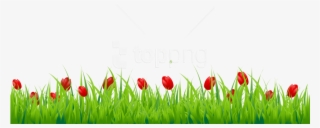 Free Png Grass Png Images Transparent - Grass Photos For Editing