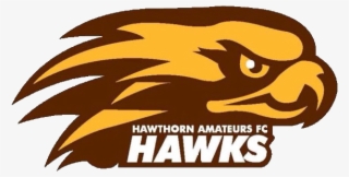 Saint Joseph's Rugby