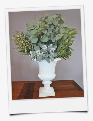 2017 Willow Tree Creative Services - Garden Roses