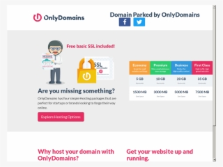 American Red Cross Serving King Competitors, Revenue - Only Domains