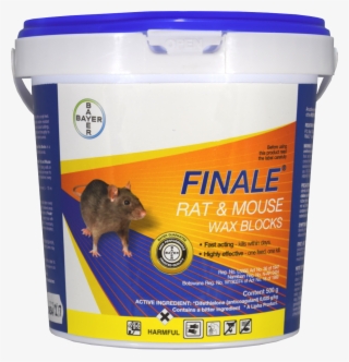 All Pictures Shown Are For Illustration Purpose Only - Rat