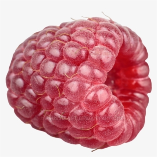 Raspberries Png - Transparent Background Black Raspberry Png