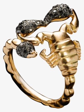 To Go With The Scorpions At Our House Scorpion Diamond