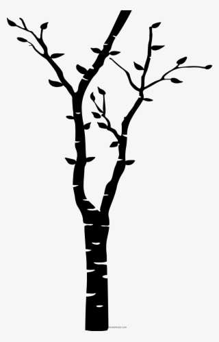 Birch Tree Coloring Page - Birch Tree Svg Free