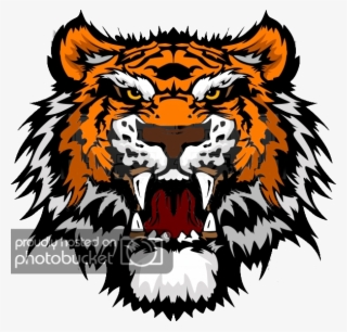 Tiger Head Png