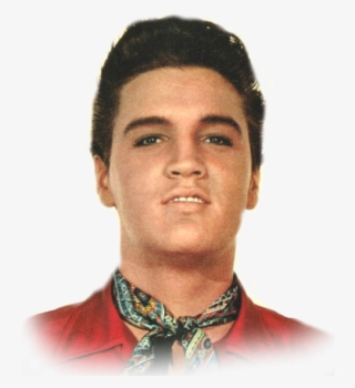 Velvet Elvis King Creole