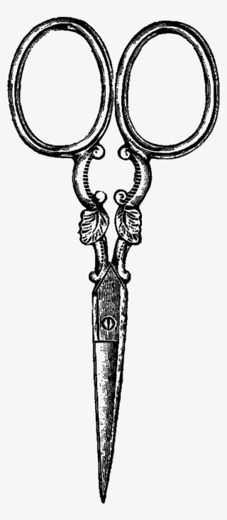 Graphic Free Library Digital Stamp Design Vintage Clip - Free Clipart Embroidery Scissors