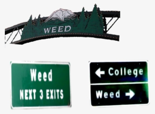 Weed Street Signs - Weed